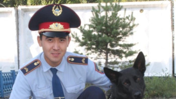 Фотография к новости: Павлодар облысында Бэтти атты қызметтік ит ұрланған ақшаны табуға көмектесті