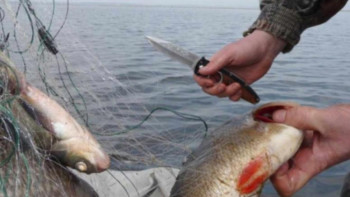 Фотография к новости: Марқакөл мемлекеттік табиғи қорығындағы браконьерлер ұсталды