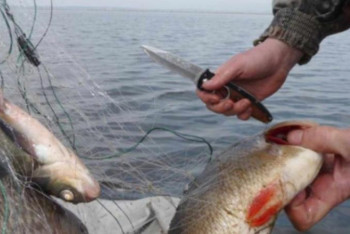 Фотография к новости: Марқакөл мемлекеттік табиғи қорығындағы браконьерлер ұсталды