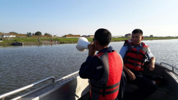 Фотография к новости: Жайық өзенінде қайықпен рейд өткізілуде