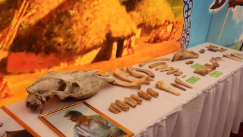 Фотография к новости: «Ботай» – адамзат өркениетінің бастауы