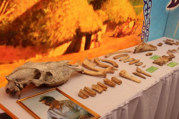 Фотография к новости: «Ботай» – адамзат өркениетінің бастауы