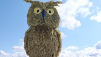 Фотография к новости: Ақмола облысында сабаннан жасалған алып үкі пайда болды