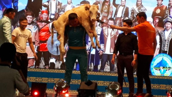 Фотография к новости: ШҚО-да жігіттер тайынша көтеріп, жұртты тамсандырды