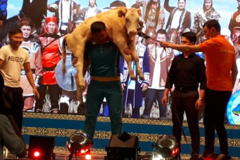 Фотография к новости: ШҚО-да жігіттер тайынша көтеріп, жұртты тамсандырды