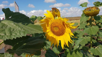 Фотография к новости: «Дала дәні» халықаралық дала күні мерекесі өтті