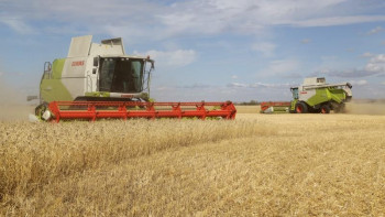 Фотография к новости: Қарағанды облысында астық жинау науқаны басталды