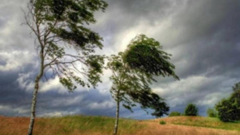 Фотография к новости: Ауа райына байланысты бірнеше өңірде ескерту жарияланды