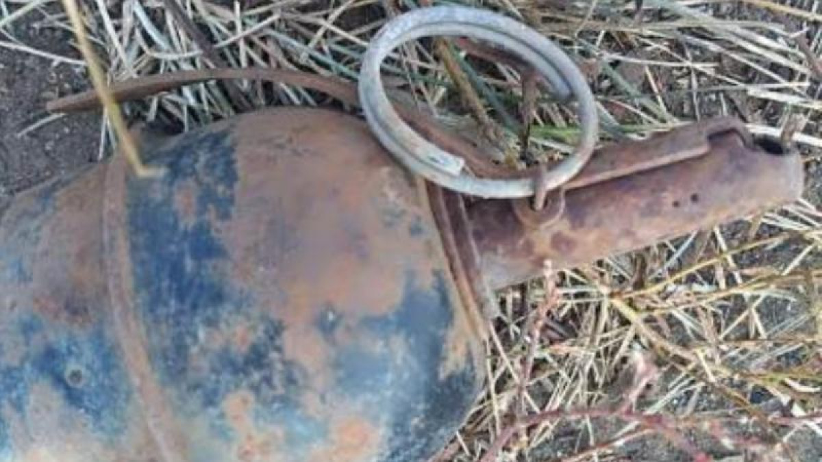 Павлодар облысындағы алқаптардың бірінде граната табылды