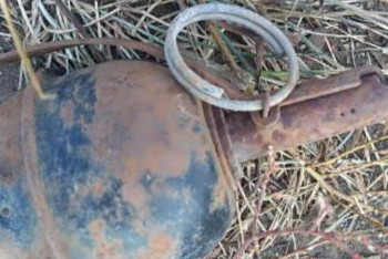 Фотография к новости: Павлодар облысындағы алқаптардың бірінде граната табылды