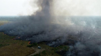 Фотография к новости: Бразилия «Үлкен жетіліктің» көмегінен бас тартты