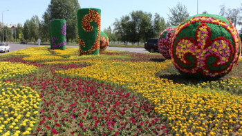 Фотография к новости: Атырауда 15 мың шаршы метр гүлзар отырғызылады