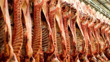 Фотография к новости: Қызылордада 5 мың тонна етті өңдей алатын комбинат салынуда 