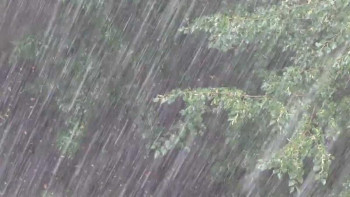 Фотография к новости: Бүгін жаңбыр жауып, жел күшейеді 