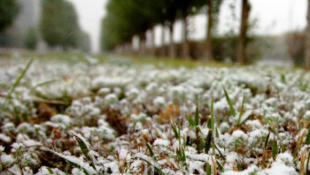 Фотография к новости: Еліміздің үш облысында түн суытады