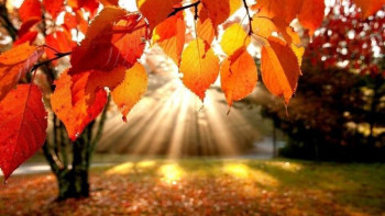 Фотография к новости: Қыркүйек айына арналған ауа райы болжамы