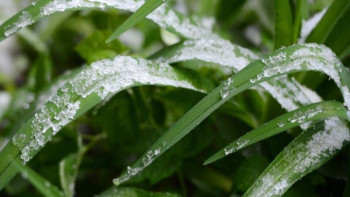 Фотография к новости: Солтүстік Қазақстанда 3 градусқа дейін күн суытады