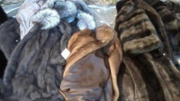 Фотография к новости: Шекарада заңсыз тауар тәркіленді