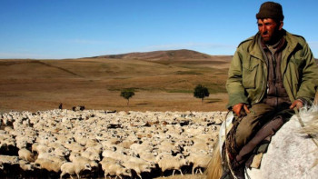 Фотография к новости: 5 жыл бұрын жоғалған адам Қарағандыда құлдықта жүрген