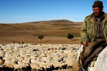 Фотография к новости: 5 жыл бұрын жоғалған адам Қарағандыда құлдықта жүрген