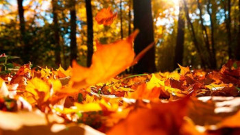 Фотография к новости: Қыркүйекте ауа райы қандай болады?