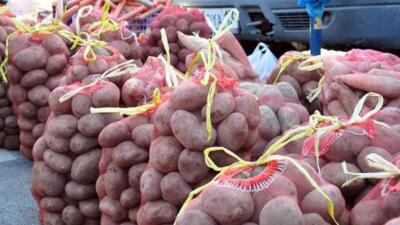 Елордадағы жәрмеңкеге Алматыдан 39 тонна картоп әкелінеді 