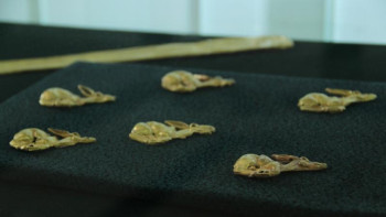 Фотография к новости: ШҚО-да сақ дәуіріне арналған көрме ашылды