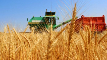 Фотография к новости: Атырау облысында ауылшаруашылық өнімдерінің көлемі артып келеді