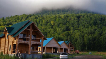 Фотография к новости: Катонқарағай. Марал сорпасы, қымыз бен бал