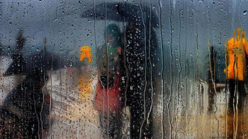 Фотография к новости: Бүгін кей облыста жаңбыр жауып, жел күшейеді