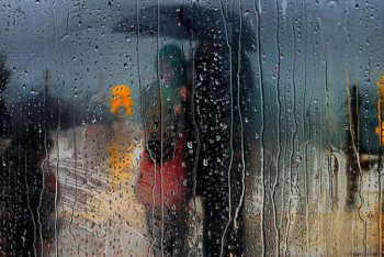 Фотография к новости: Бүгін кей облыста жаңбыр жауып, жел күшейеді