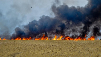 Фотография к новости: ШҚО-да биыл дала өрті 68% артқан