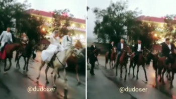 Фотография к новости: Алматыда жас жұбайлардың той кортежі атпен жүріп өтті