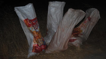 Фотография к новости: Жамбылда алтын қазумен заңсыз айналысқандар ұсталды