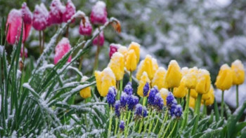 Фотография к новости: Үш күнге арналған ауа райы болжамы