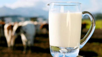 Фотография к новости: Қазақстан ет пен сүт өндірісі бойынша ЕЭО елдері арасында көш бастап тұр