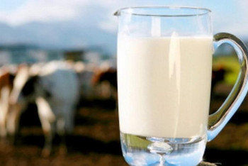 Фотография к новости: Қазақстан ет пен сүт өндірісі бойынша ЕЭО елдері арасында көш бастап тұр