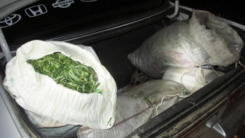 Фотография к новости: Шуда 40 жастағы тұрғынның көлігінен 287,5 келі марихуана табылды