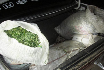 Фотография к новости: Шуда 40 жастағы тұрғынның көлігінен 287,5 келі марихуана табылды