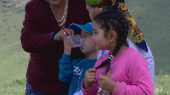 Фотография к новости: Ертіс өңірінде жазғы демалыста қымыз терапиясы жобасы жүзеге асырылды
