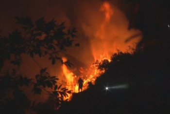 Фотография к новости: Колумбиядағы орман өрті ел астанасы Боготаға жақындады