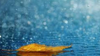 Фотография к новости: Алдағы үш күнде еліміздің басым бөлігінде жаңбыр жауады