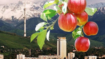 Фотография к новости: Қала күні – 2019: Алматыда алма мен кітап тегін таратылды