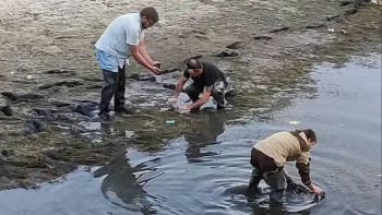 Фотография к новости: Ақтөбеде табиғат жанашырлары балықтарды аман алып қалды