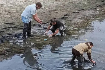 Фотография к новости: Ақтөбеде табиғат жанашырлары балықтарды аман алып қалды