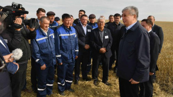 Фотография к новости: Тоқаев егістік алқаптарын аралап көрді