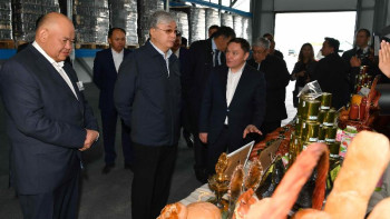 Фотография к новости: Мемлекет басшысы «Урожай» ЖШС агроөнеркәсіп кешенінде болды