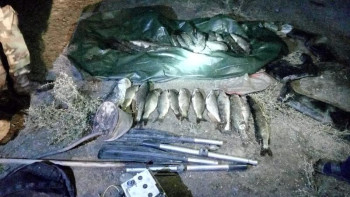 Фотография к новости: Қызылордада заңсыз балық аулағандар ұсталды