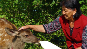 Фотография к новости: Катонқарағай. Хоббиі көп апа