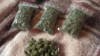 Фотография к новости: Елордада ірі көлемде есірткі табылды 